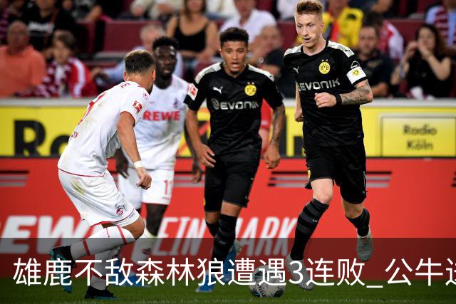 雄鹿不敌森林狼遭遇3连败 公牛送灰熊7连败